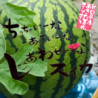 あきた夏丸チッチェ2個箱 | 詩の国商店